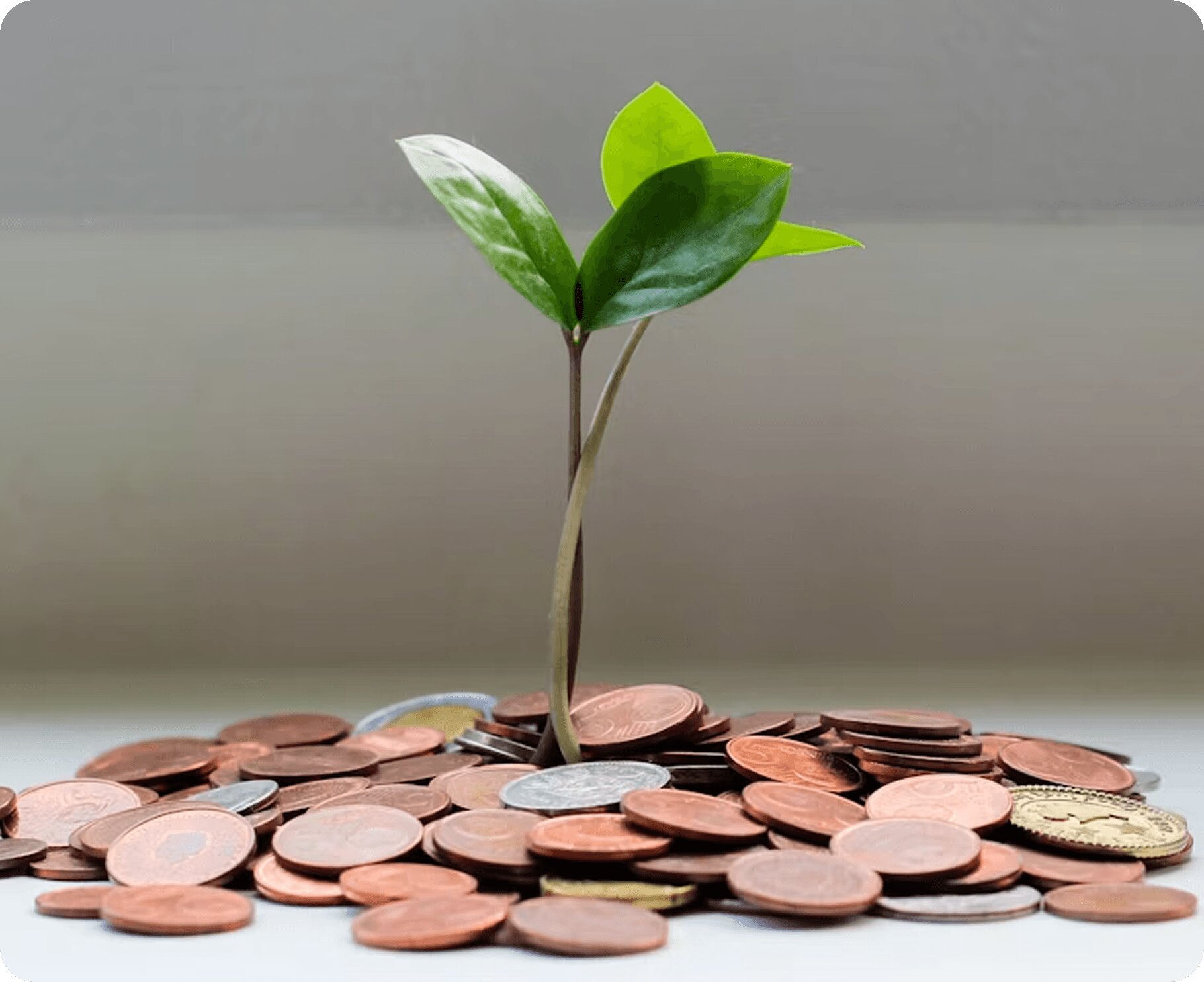 Sürdürülebilirlik ve ESG stratejisi